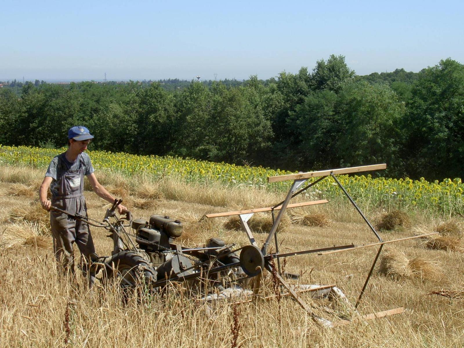 Cascina Degli Ulivi Séjour à la ferme *
