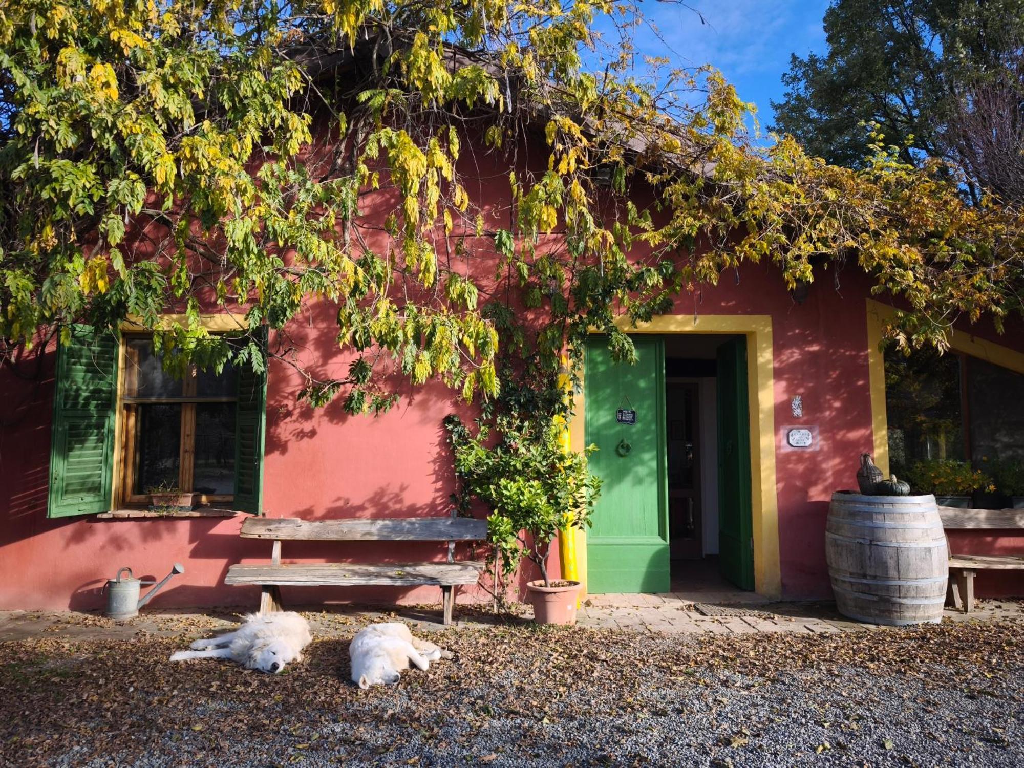 Cascina Degli Ulivi Séjour à la ferme Novi Ligure