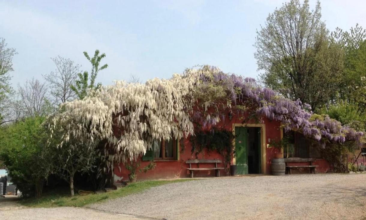 Cascina Degli Ulivi *