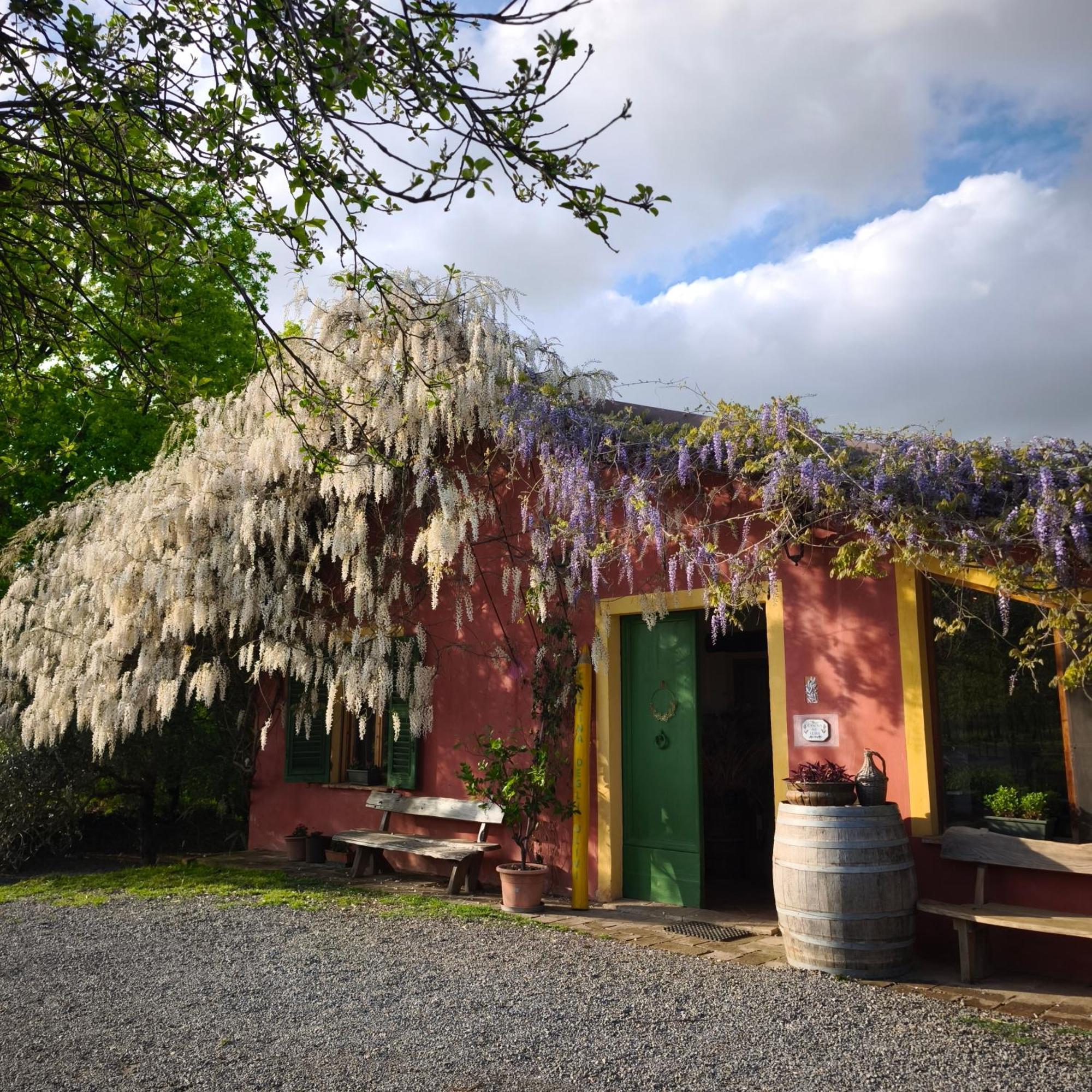 Cascina Degli Ulivi Séjour à la ferme