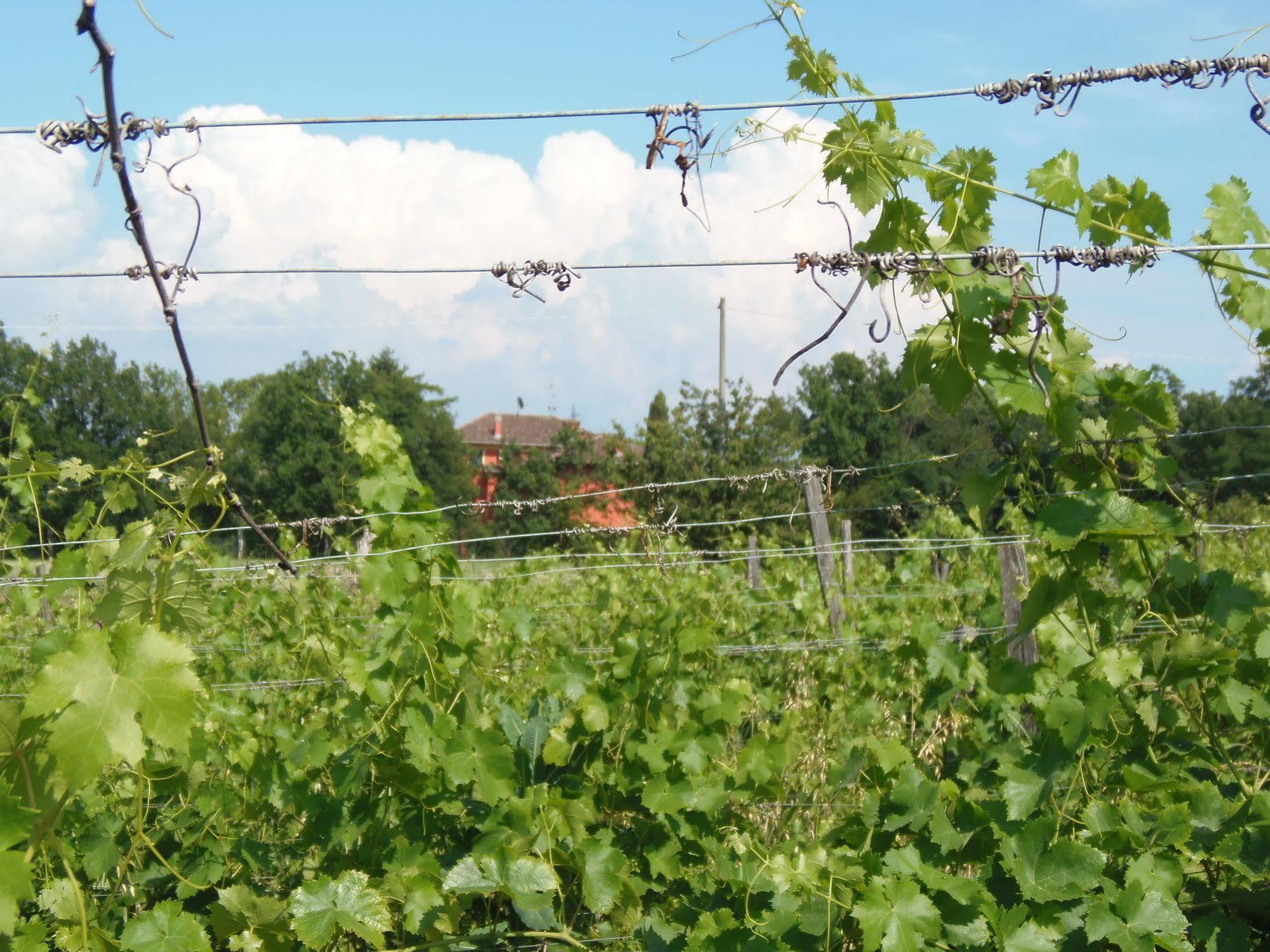 Cascina Degli Ulivi Novi Ligure