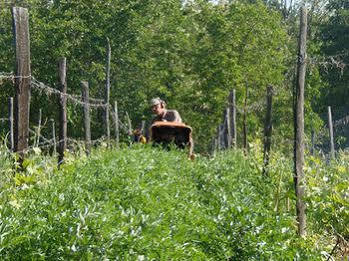Cascina Degli Ulivi Séjour à la ferme *