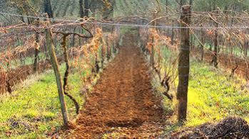 Cascina Degli Ulivi * Novi Ligure